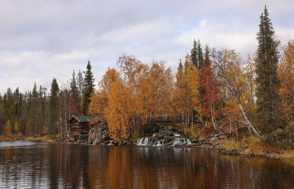 An old wooden gold panning hut on the bank of the Lemmenjoki River