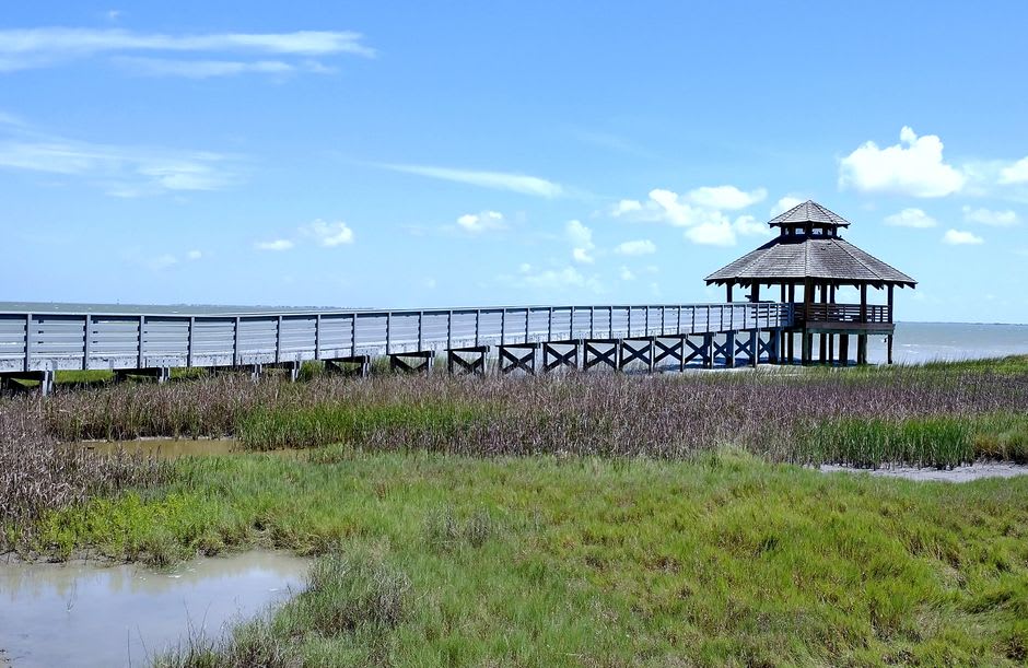 Weathered wooden pier stretching into the Gulf of Mexico at Cedar Key with pilings and marsh grass