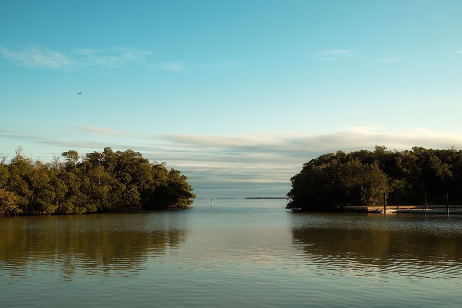 Kayaks pulled up on a sandy shore near mangrove islands in the Cedar Keys National Wildlife Refuge