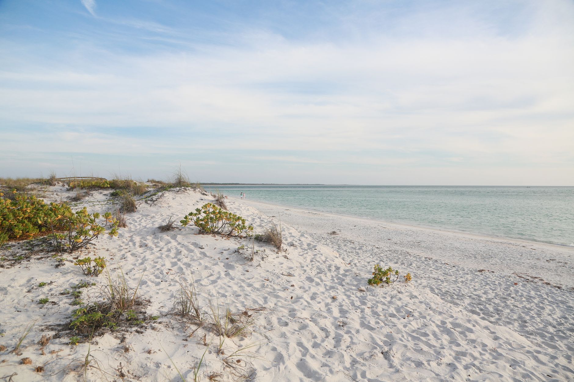 A pair of hands cupping a haul of varied shells gathered along the Sanibel tideline, with the shallow Gulf water behind