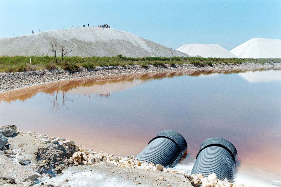 Pink-tinged salt pans of the Camargue with flamingos wading near Aigues-Mortes
