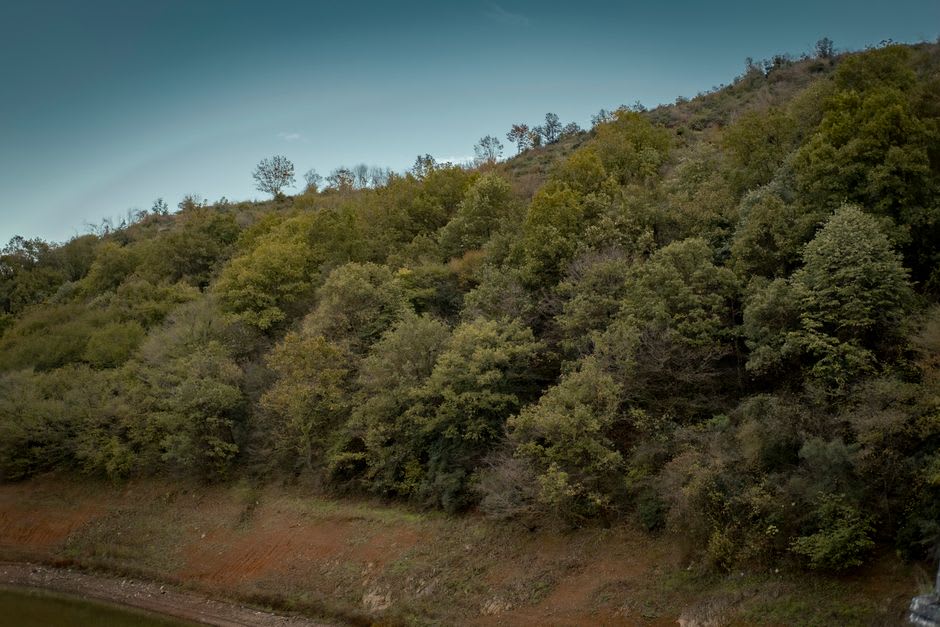 The Allier river running through a wooded gorge below Brioude with steep green slopes on either side