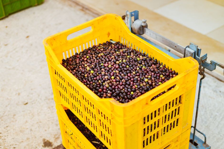 Crates of freshly picked cherries stacked at a market stall in Céret's old town