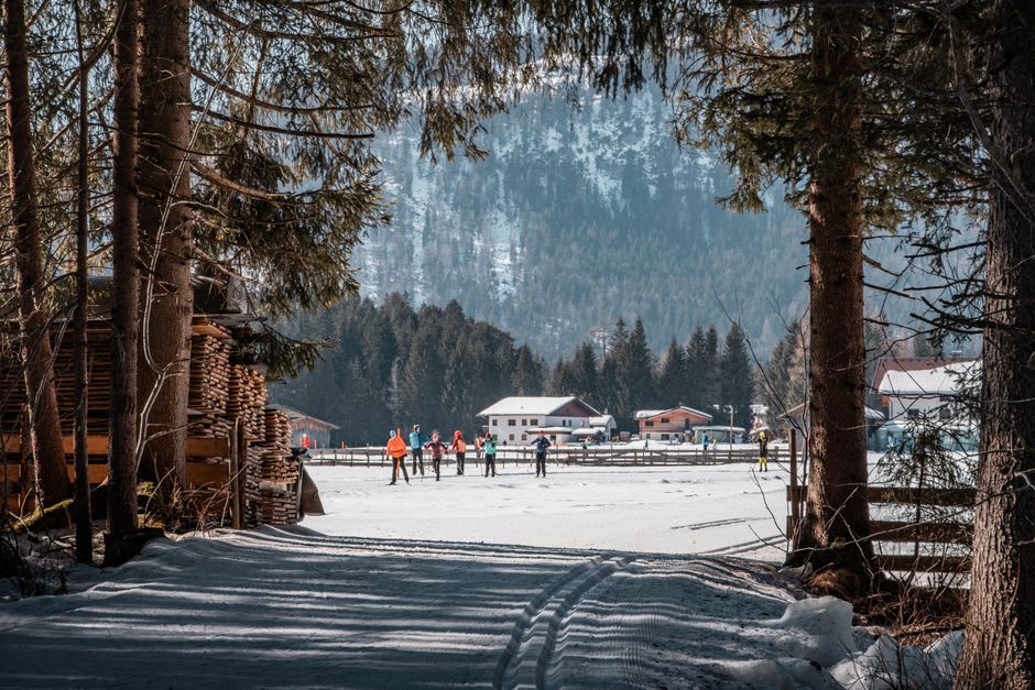 Groomed cross-country ski trails cutting through snow-laden fir forest near Champagnole