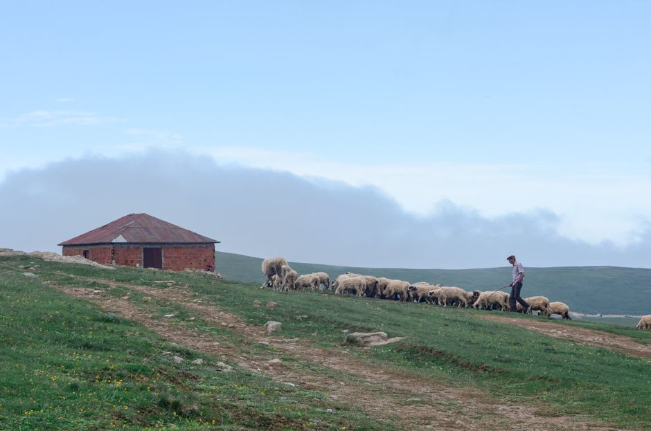 A traditional stone buron shepherd's hut standing alone on the high pastures of the Cantal plateau