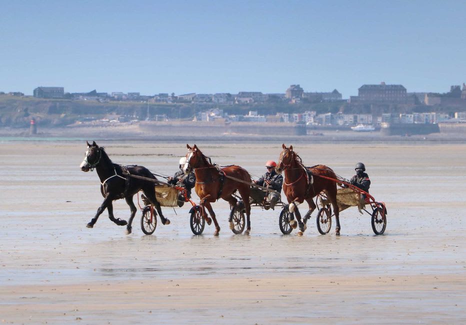 Racehorses being exercised through the shallow surf on Deauville's beach at dawn