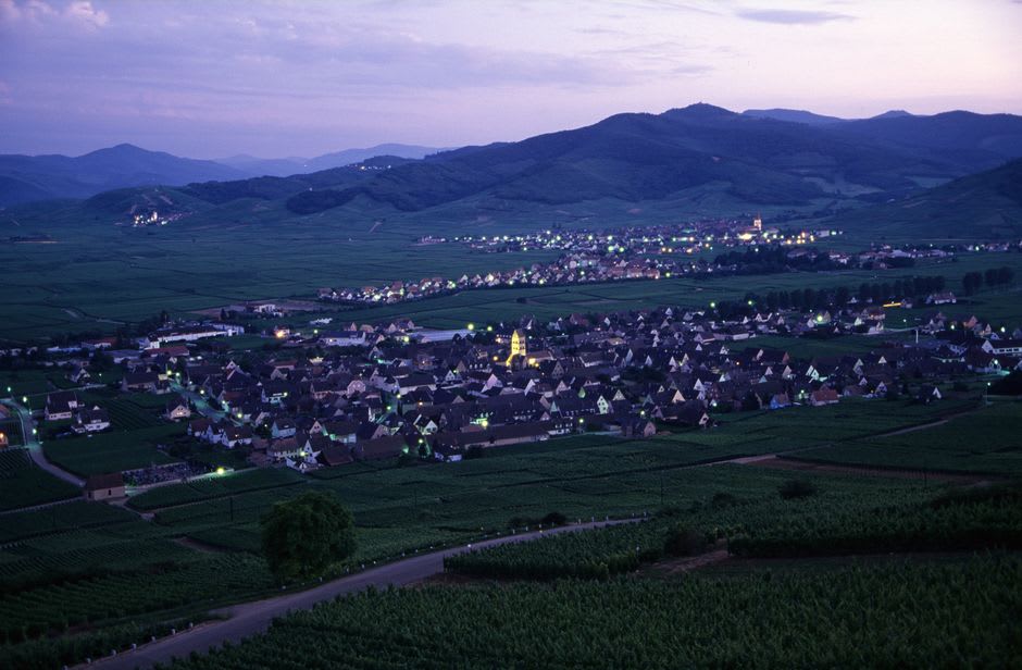 Vineyard rows on the hillside above the village of Hautvillers near Épernay in the Champagne region