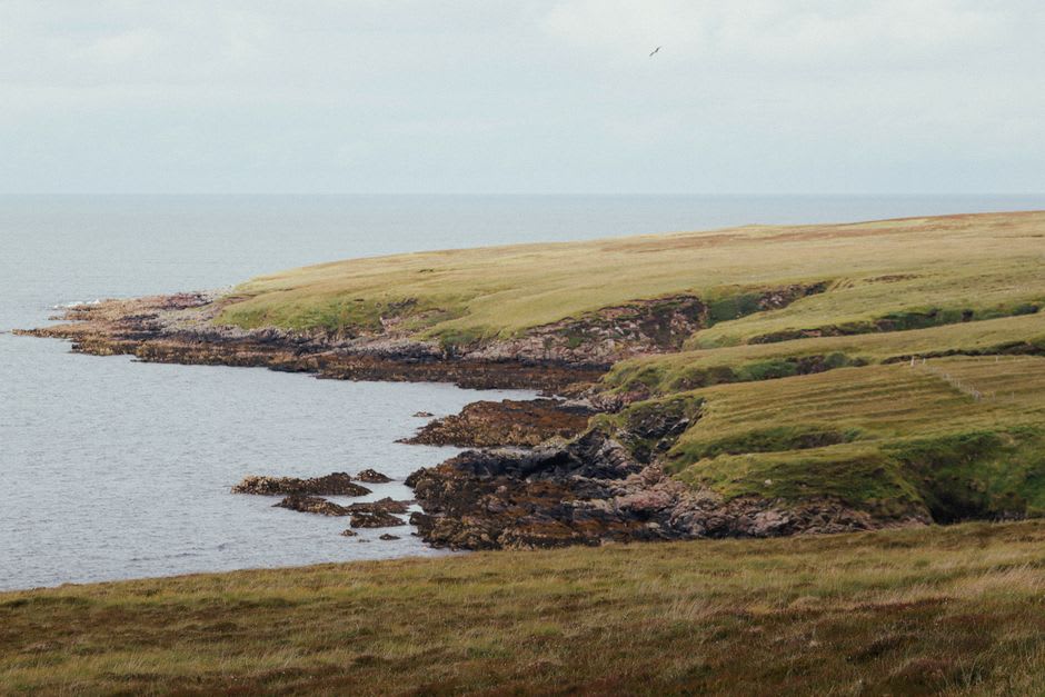 Heather-covered heathland and pink sandstone cliffs on Cap d'Erquy above a small cove