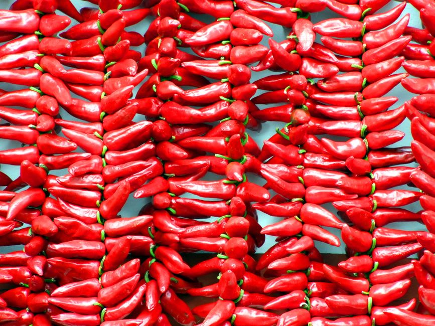 A whitewashed Basque house facade in Espelette covered with long garlands of drying red peppers