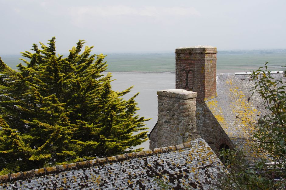 One of the twenty conical stone chimneys crowning the fish-scale roof of Fontevraud's Romanesque kitchen