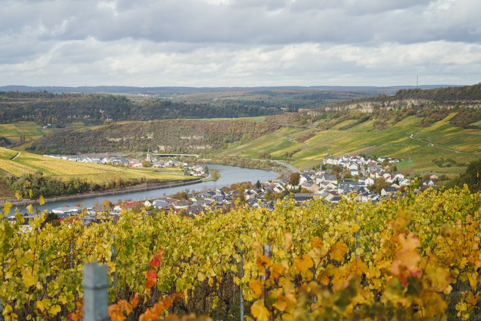 Panoramic view over the Marne valley vineyards from the hilltop village of Hautvillers