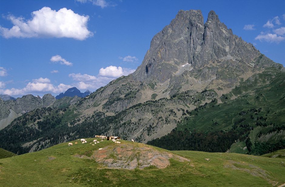 Sheep grazing on the high summer pastures above the Vallée d'Ossau near Laruns