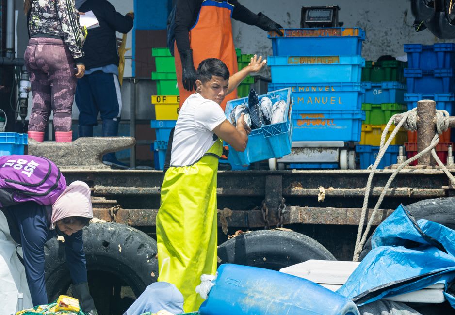 Fishermen sorting the morning catch at the criée fish auction in Le Croisic harbor