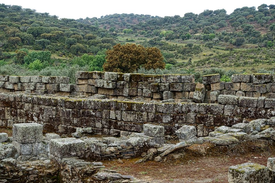 Dry-stone Bronze Age walls of Cucuruzzu rising from oak forest, moss-covered granite blocks fitted together without mortar