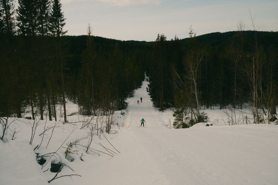 A groomed cross-country ski trail cutting through snow-laden pine forest near Mouthe