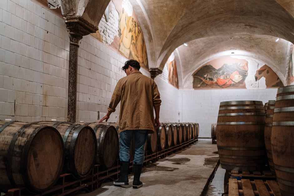 An affineur checking a wheel of Comté with a long metal probe in a cool stone cellar in Poligny