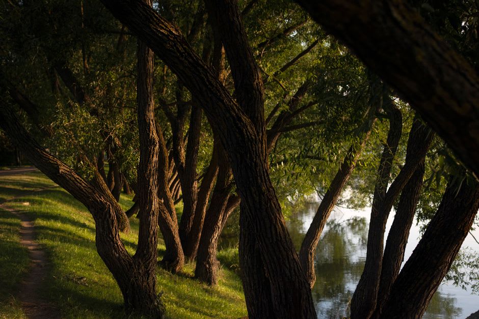 A wooded footpath along the Aven river in Pont-Aven with dappled light through the trees