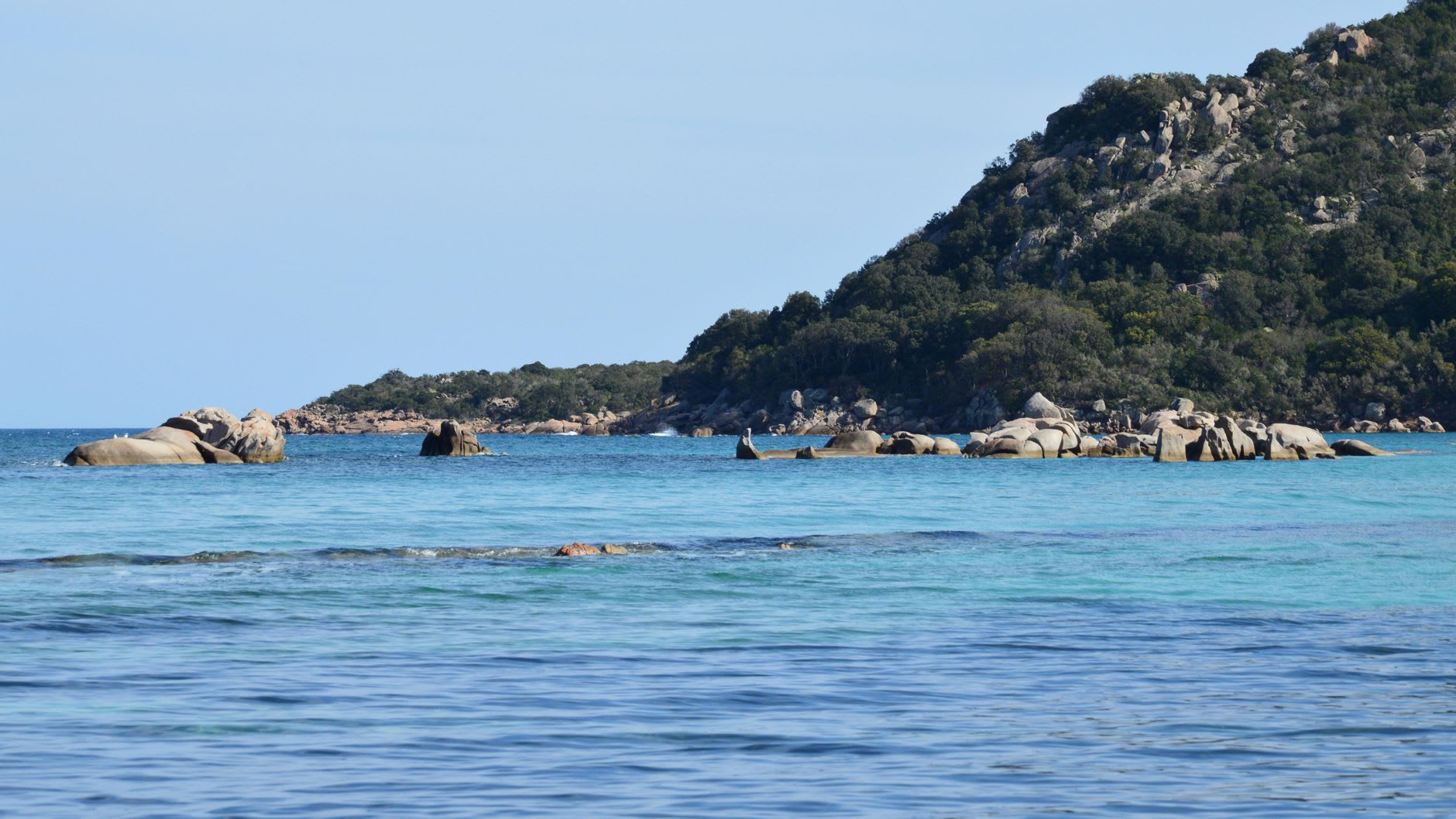 The pink-tinged salt marshes south of Porto-Vecchio in early morning light, a lone flamingo wading through still water