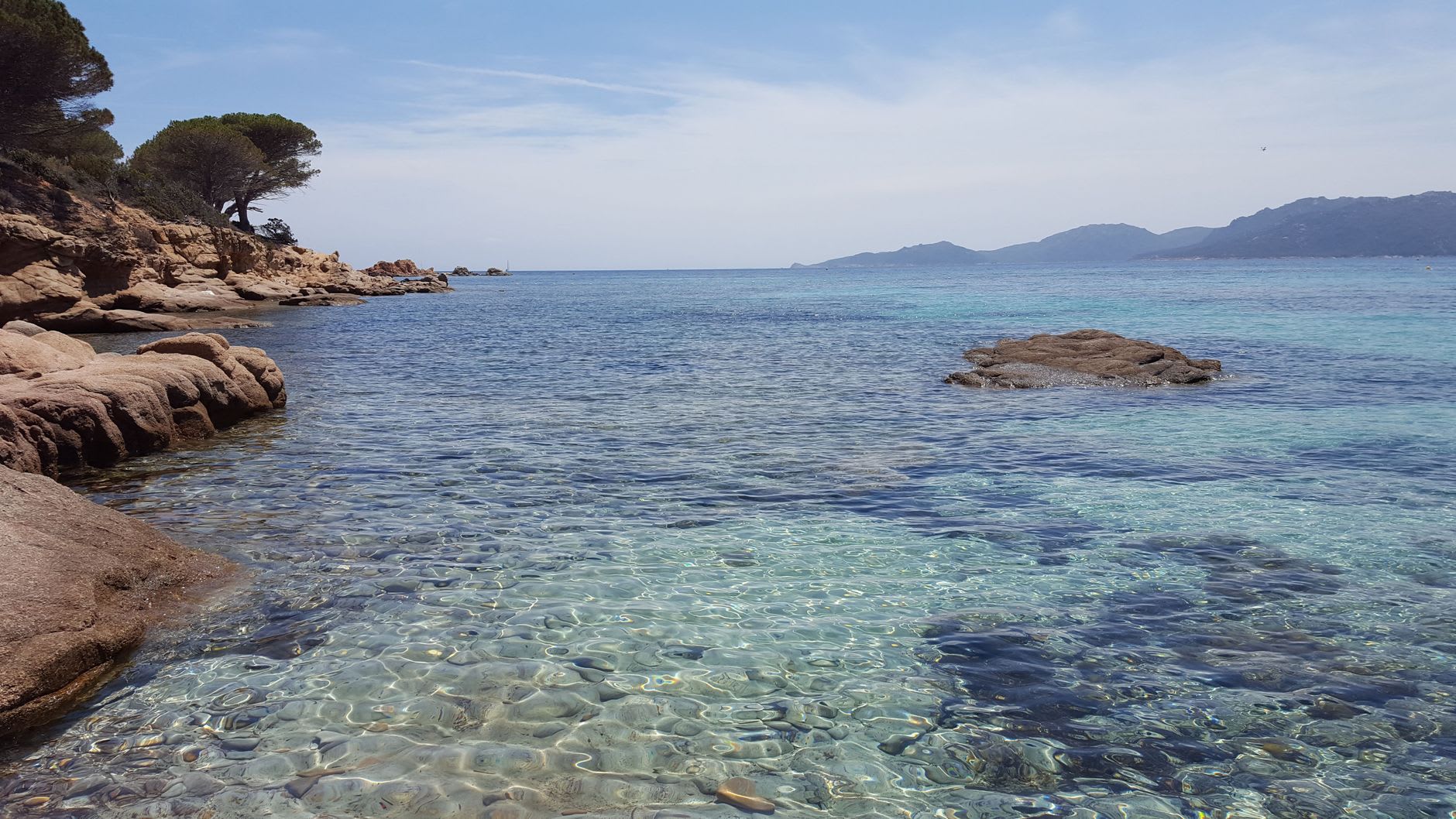 Parasol pines leaning over the pale sand and turquoise shallows of Santa Giulia beach near Porto-Vecchio