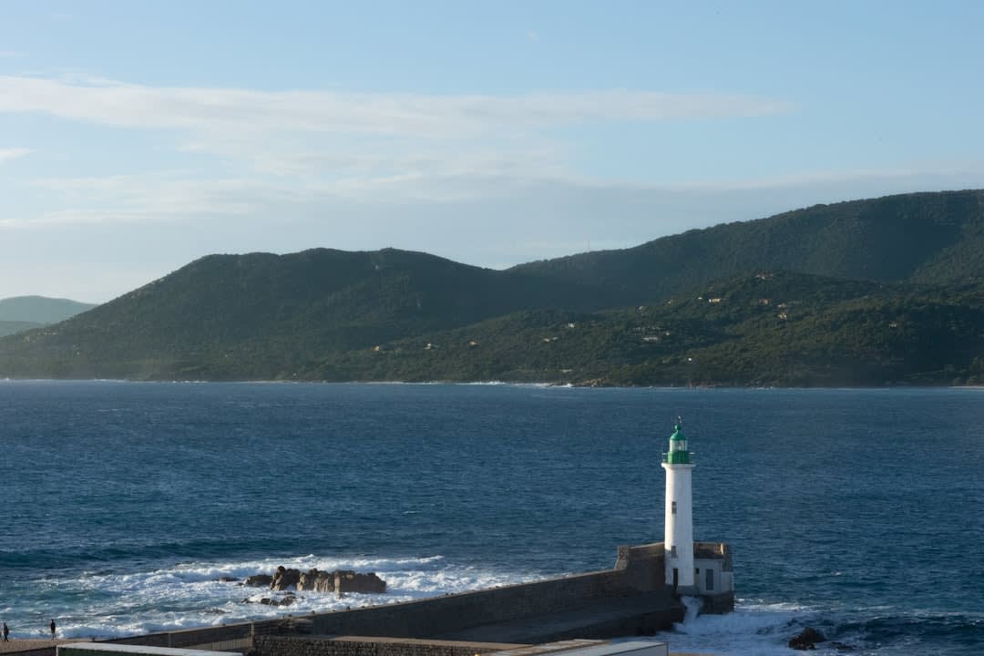 Fishing boats and sailing yachts sharing the working marina at Propriano at midday