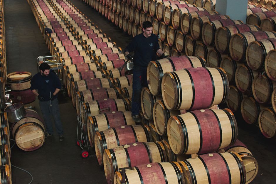A vigneron drawing pale, cloudy young Poulsard wine straight from an oak barrel in a Pupillin cellar