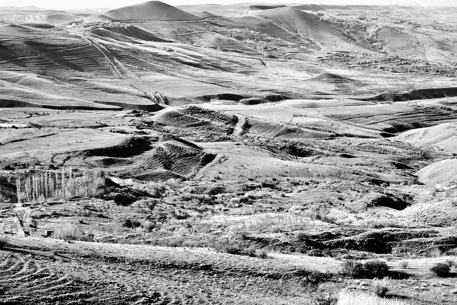 Rows of Poulsard vines rising directly from the edge of Pupillin's stone houses toward the ridge above
