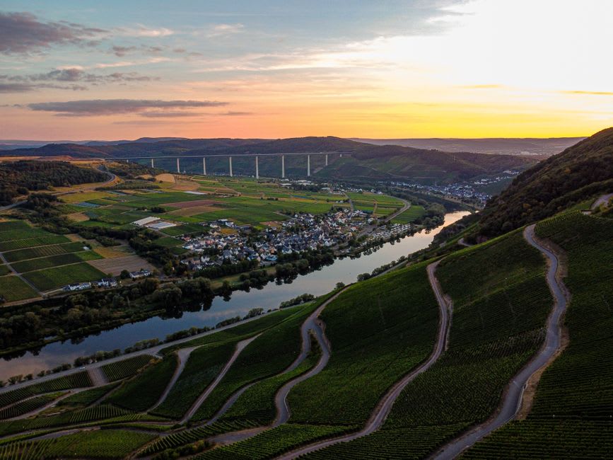 Vineyards climbing the hillside above Rouffach toward the Vosges mountains at sunset
