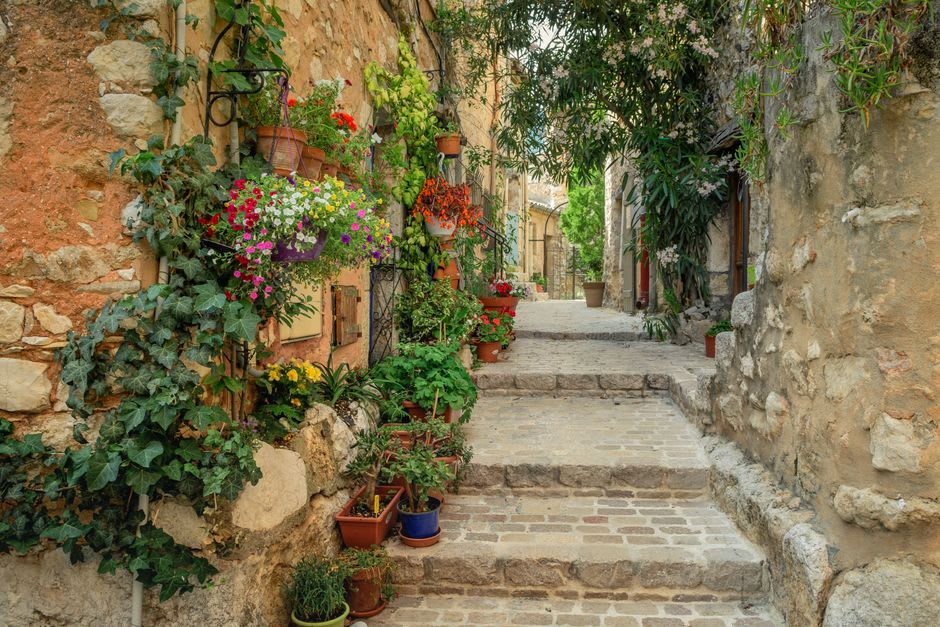 A stone stairway lined with flowering plants winding between old houses in Séguret