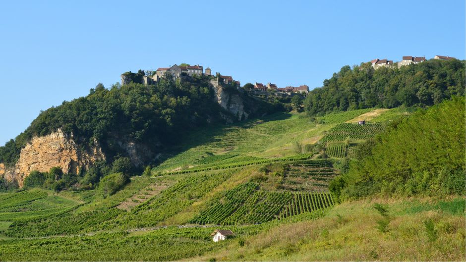 Steep terraced vines of the Rangen grand cru vineyard rising above the rooftops of Thann