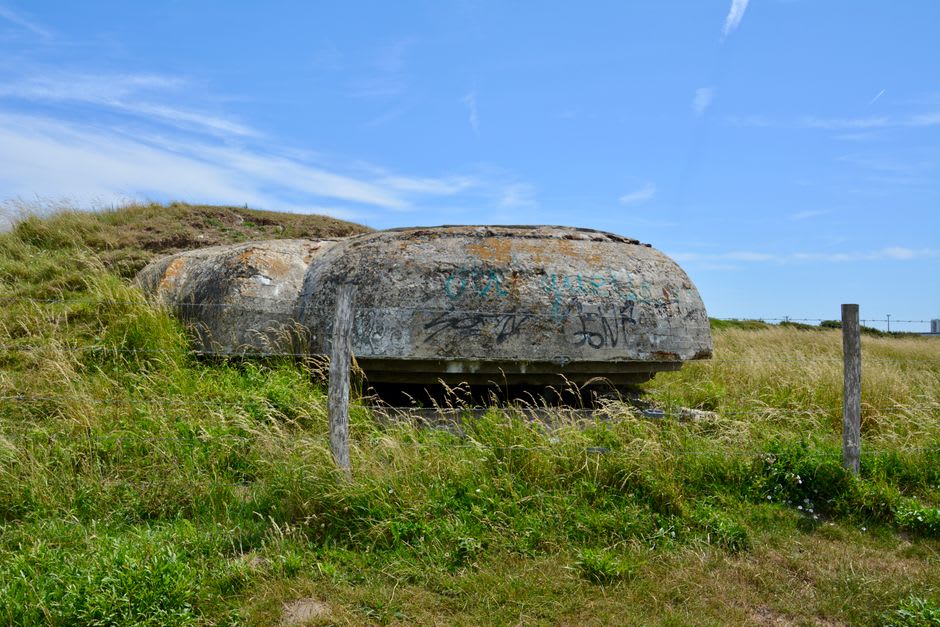 The concrete roof of Fort de Vaux scarred with shell craters and softened by overgrown grass