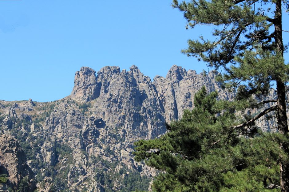 A hiking trail winding through pine forest toward the granite spires of the Aiguilles de Bavella
