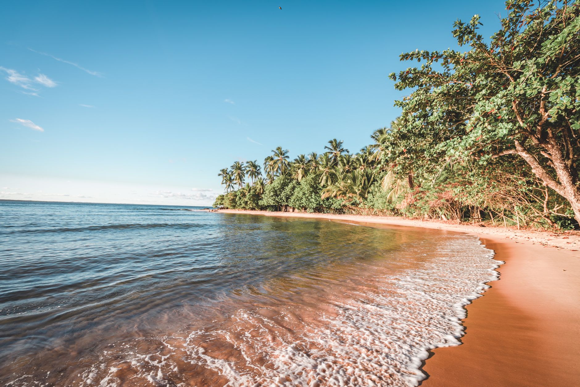 The view from Île Royale toward Île Saint-Joseph and Île du Diable across turquoise water, with palm trees in the foreground