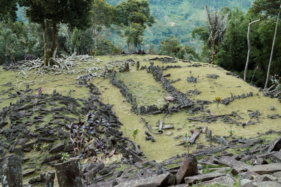 Overgrown ancient marae stone platform on Mataiva's shore, weathered coral rock partially reclaimed by vegetation