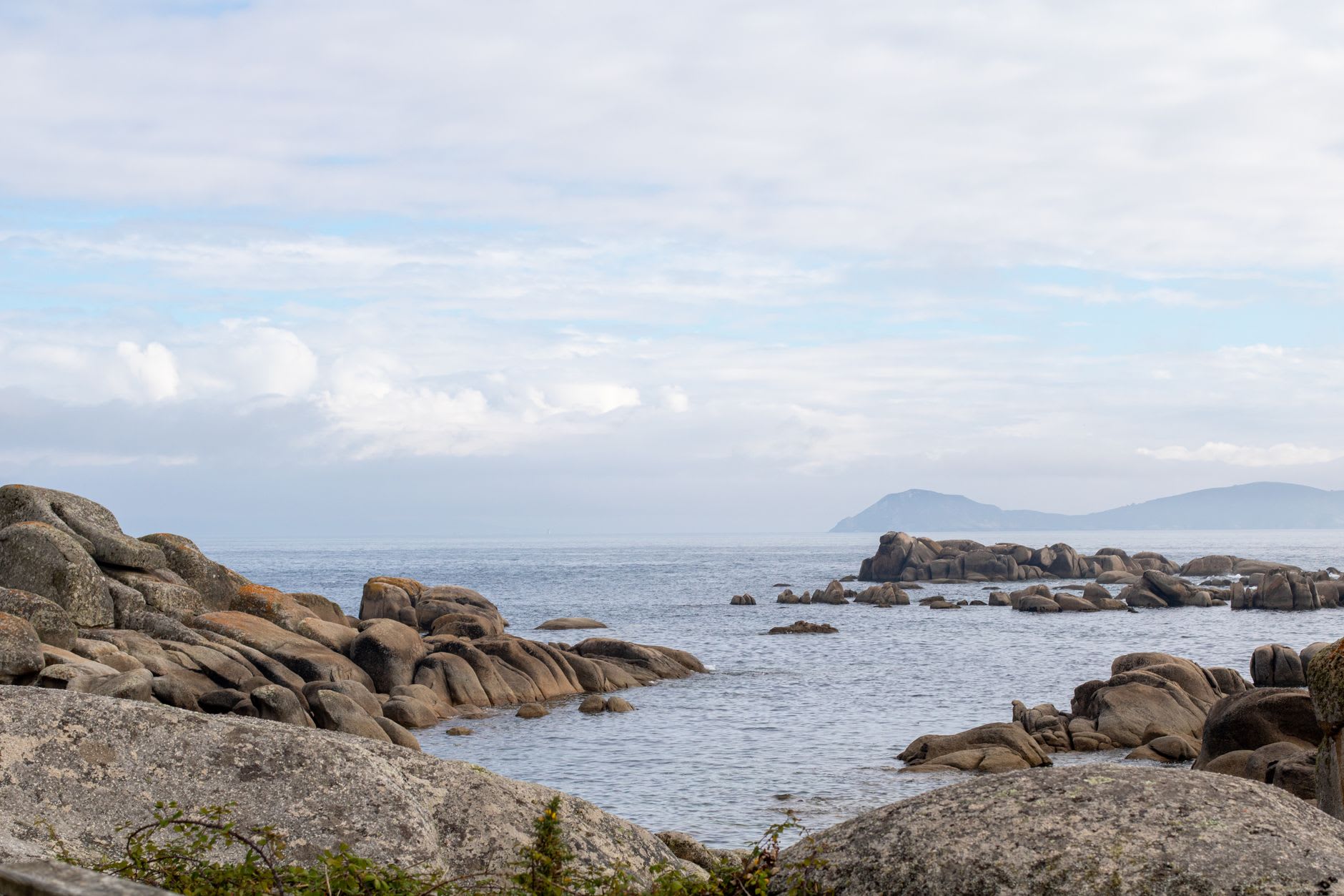 Gannets nesting on the black cliff face of the Illas Cíes, the sea crashing below on an autumn morning