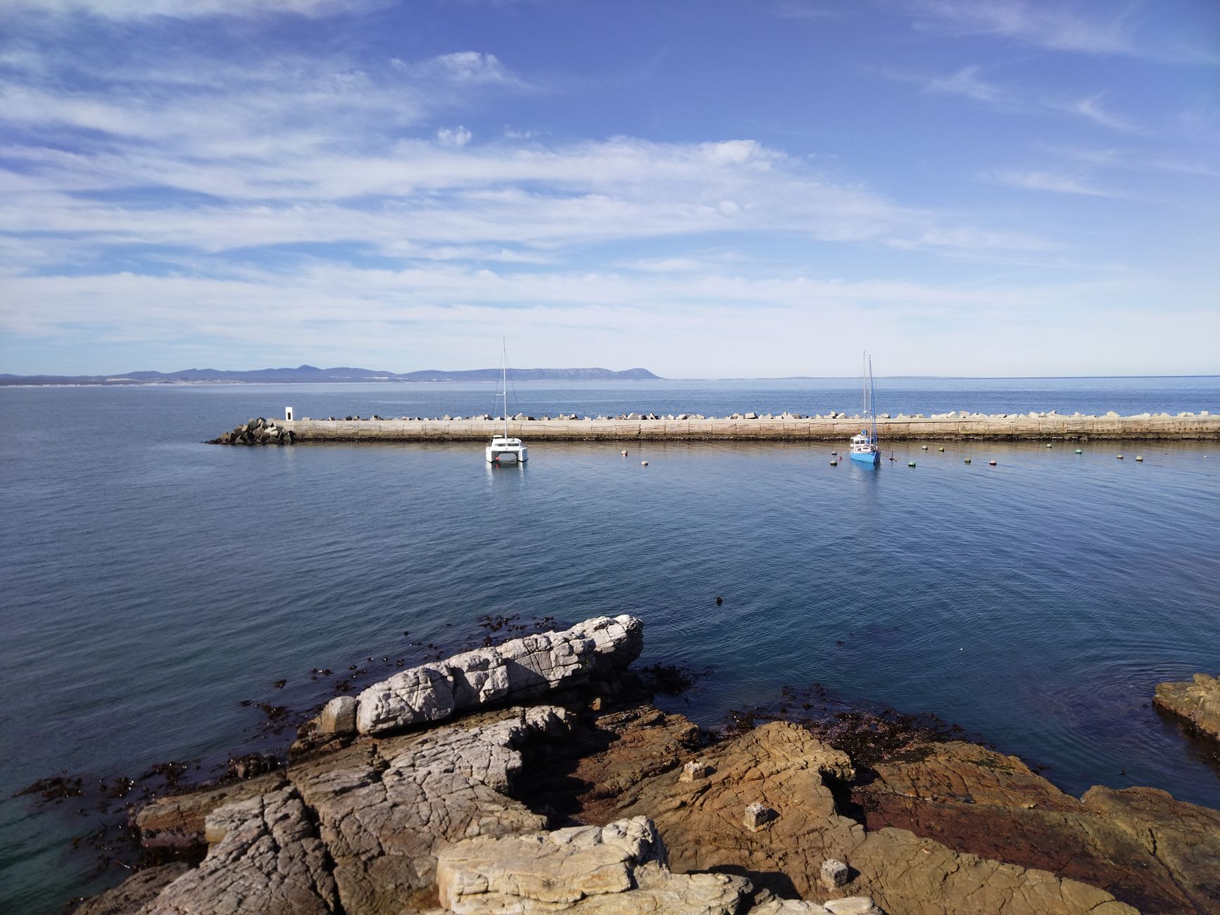 Southern right whale surfacing in the calm waters of Mossel Bay at dawn, harbour infrastructure visible on the shore