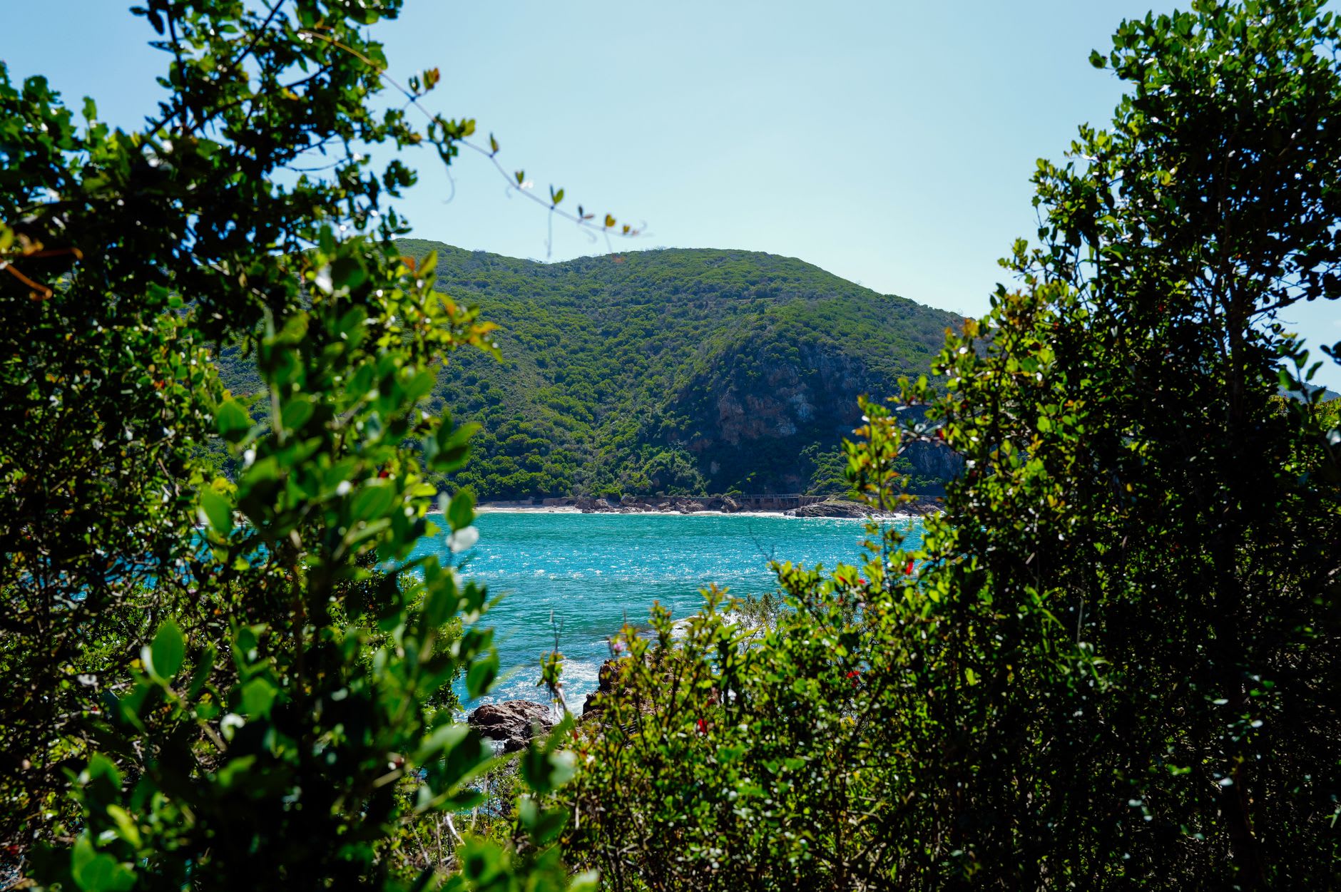 The Groot River lagoon at Nature's Valley, tea-brown and calm, with forested hills behind and a sandbar separating it from the sea