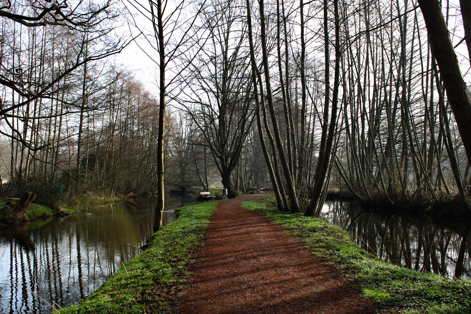 A flat-bottomed punt gliding through a narrow Spreewald canal enclosed by ancient alder trees, their roots gripping dark tannin-stained water