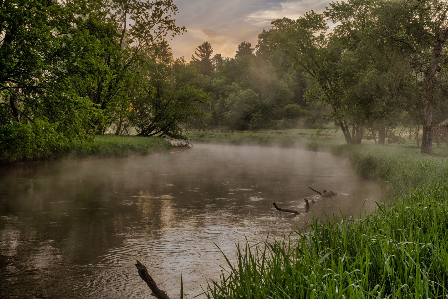 Morning mist rising off a still forest waterway in the Spreewald, alder trees reflected in the glassy dark surface
