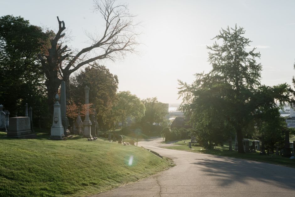 Sunlight filtering through tree branches onto a stone path in Trafalgar Cemetery