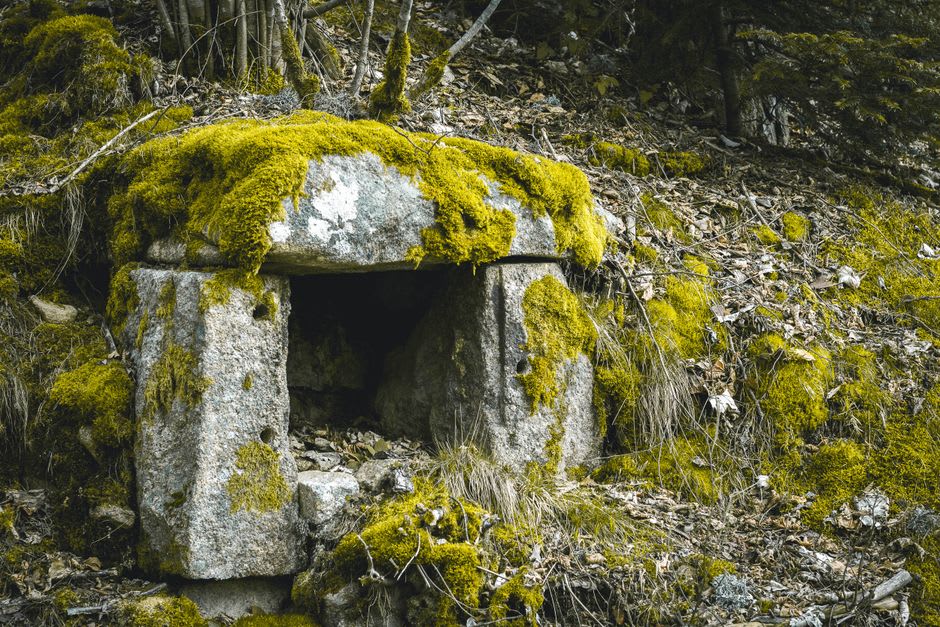 Weathered limestone blocks from the original Iron Age construction half-buried in undergrowth
