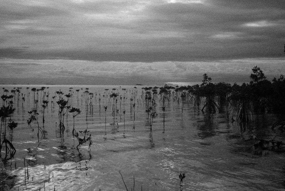 Pics de granit de Hinchinbrook Island se reflétant dans l'eau immobile d'un chenal de mangrove à l'aube