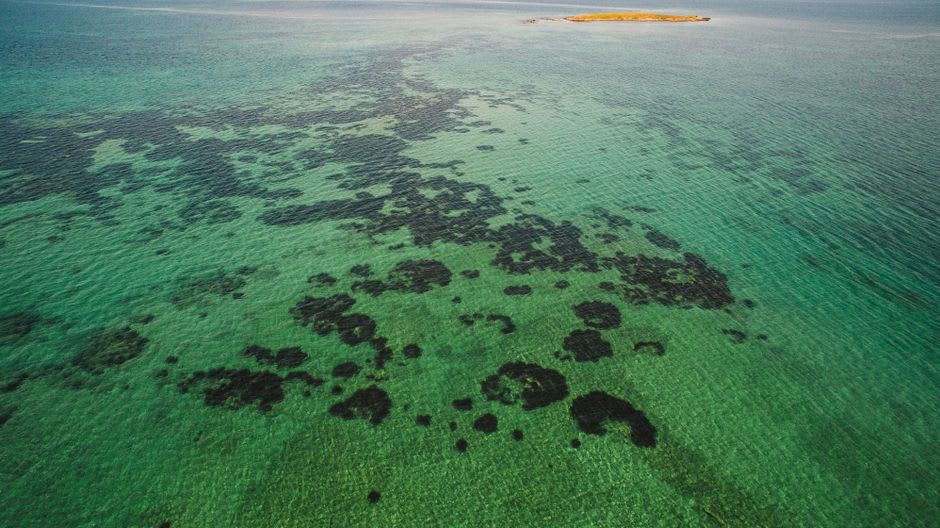Orpheus Island's quiet forested coastline with calm turquoise fringing reef water lapping the shore