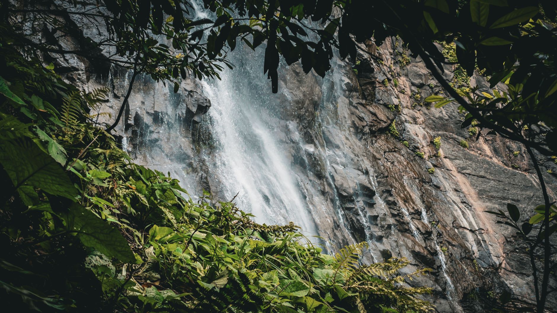 The wide misty base pool of the second Chute du Carbet, with the full height of the waterfall visible above through a frame of tropical rainforest