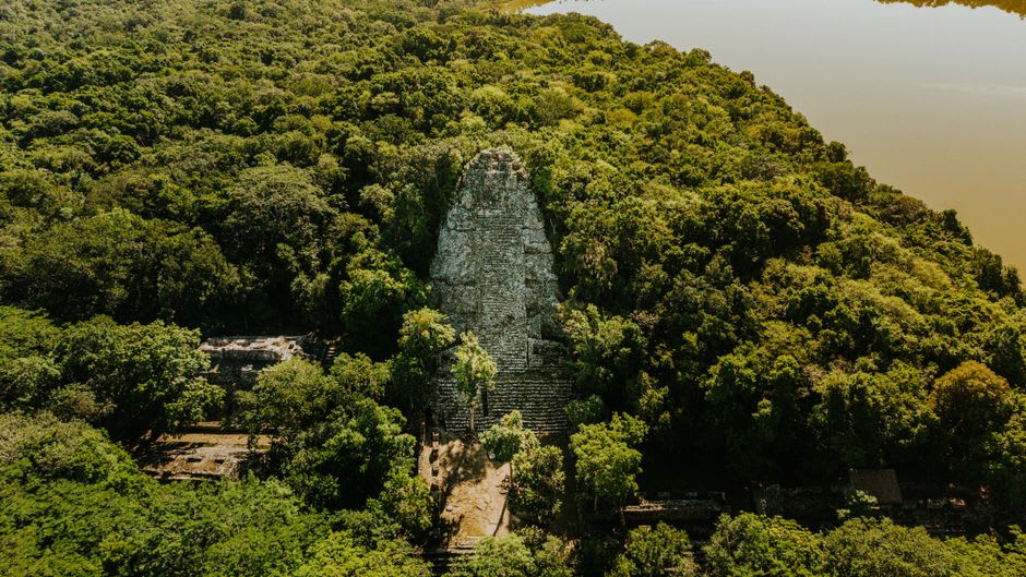 La Danta pyramid rising above the unbroken jungle canopy of the Maya Biosphere Reserve
