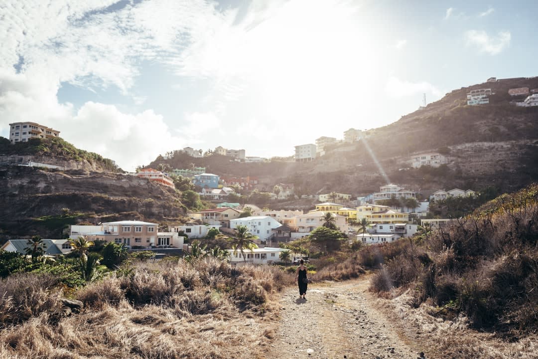 Palm-lined dirt road leading toward the Pacific coastline near Las Lisas