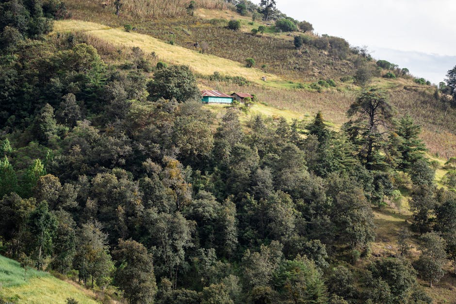 Highland valley surrounded by volcanic peaks and green terraced hills