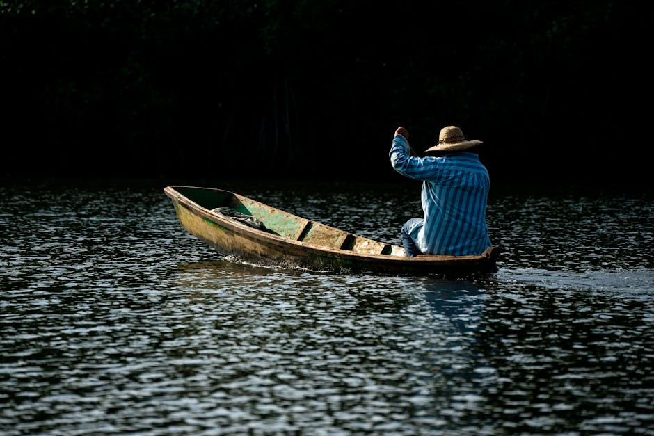 Tropical river winding through dense jungle with mist rising from the water