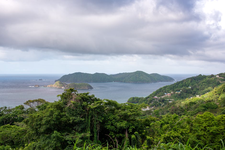 Calm tropical waterway surrounded by dense green vegetation and still waters