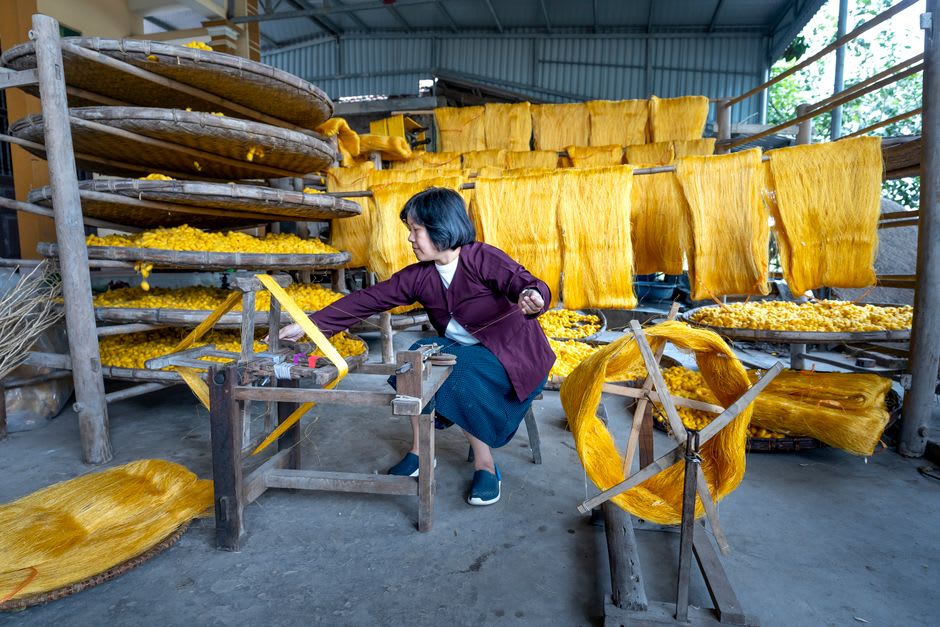Tz'utujil weaver working at a backstrap loom with skeins of naturally dyed thread in San Juan La Laguna