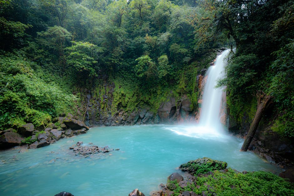 Crystal-clear natural pool surrounded by tropical vegetation and rock formations
